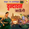 About Vrindavan Jaungi Song